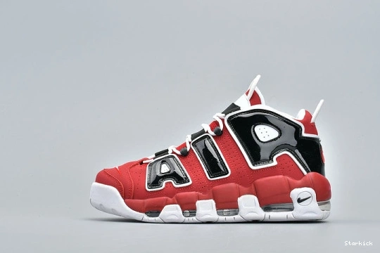 Air Hoops 921948-600 Bulls Pack More (2017) Uptempo  0811